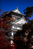 otro escena de Osaka castillo uno de más popular de viaje destino en Osaka Japón foto