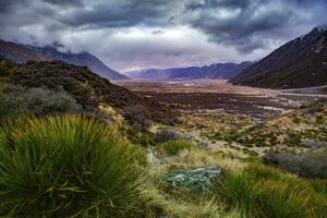 ver punto de pukaki lago en aoraki-mt.cook nacional parque Southland nuevo Zelanda foto