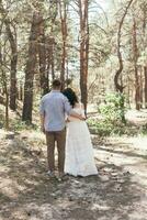 Boda caminar en el pino bosque. soleado día. foto