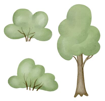 Tree and Bush Set. Watercolor illustration of shrub and forest plant. Hand drawn clipart of green scrub on isolated background. Drawing of simple nature elements bundle. For nursery wall art stickers