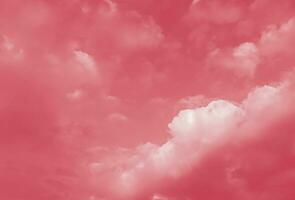 Pink sky with white clouds. Natural background photo