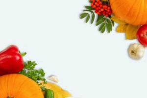 Seasonal vegetables on a white background. Thanksgiving celebration. photo