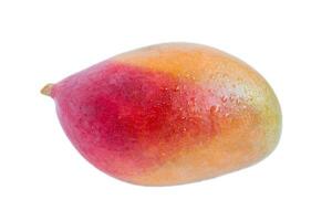 Mango isolated on a white background. Ripe tropical fruits photo