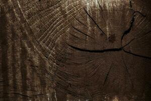Natural dark wooden background. Old wood texture photo