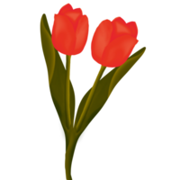 tulip painting into a beautiful bouquet png