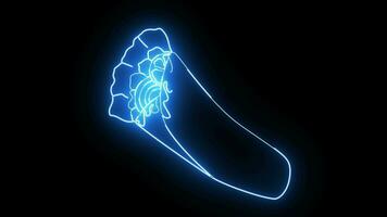 geanimeerd kebab icoon met een gloeiend neon effect video