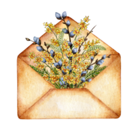 Watercolor illustration of an envelope with sprigs of willow and mimosa. Design for greeting card, banner, flyer, cover, poster and print on other product. Isolated . drawn png