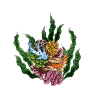 aguarela ilustração do marinho verde algas e colorida corais. flora do aquático plantas. aquário plantas, embaixo da agua plantio. isolado. desenhado de mão. png