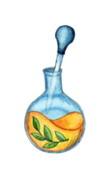 Watercolor illustration of a round flask with a yellow liquid and a plant inside and a pipette. Using glass flasks for chemical analysis or experiment and making potion. Laboratory equipment png