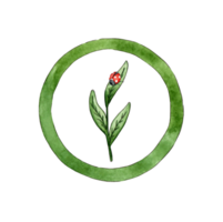 waterverf illustratie logo ontwerp spruit in groen cirkel en lieveheersbeestje, groen thee kruiden, natuurlijk geneesmiddel, spruit met groen bladeren, recycling concept, hergebruik gebruiken. geïsoleerd png