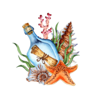 Aquarell Illustration von ein Flasche mit ein Nachricht, Algen, Korallen, Seestern und Muscheln. tropisch Marine Clip Art. Komposition zum das Design von Souvenirs, Postkarten, Poster, Banner, Menüs, Etiketten png