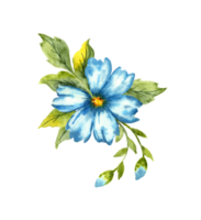 aguarela ilustração do uma azul flor com botões. cores índigo, cobalto, céu azul e clássico azul. ótimo padronizar para cozinha, casa decoração, papelaria, Casamento convites e roupas impressão. png