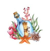 Watercolor illustration of a bottle with a message, algae, corals, shell and starfish. Tropical marine clipart. Composition for the design of souvenirs, postcards, posters, banners, menus, labels, png