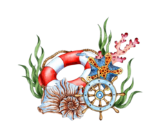 Watercolor composition of lifebuoy, helm, seaweed, seashells, coral and starfish. Composition for posters, postcards, banners, flyers, covers, posters and other printing products. Isolated png