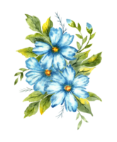 vattenfärg illustration av en bukett av blå djupröd blommor. färger indigo, kobolt, azurblå och klassisk blå. bra mönster för kök, Hem dekor, brevpapper, bröllop inbjudningar och Kläder skriva ut. png