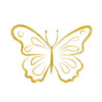 Gold Glitter Butterfly png