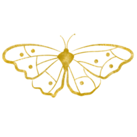 oro luccichio farfalla png