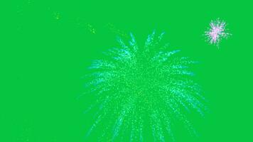 Novo ano, independência dia, festa, celebração, festival, diwali colorida fogos de artifício explosão animação efeito isolado em verde tela fundo video