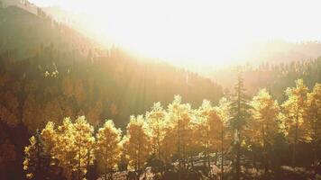 luz solar filtrando através a majestoso montanha panorama video