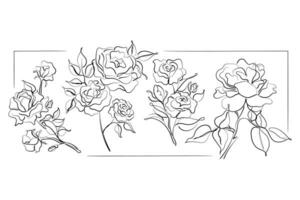 A collection of roses. Roses abstract art. vector