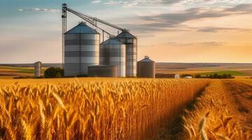Beautiful landscape of sunset over wheat field at summer, Agricultural Silos for storage and drying of grains, wheat, corn, soy, sunflower. Generative AI photo