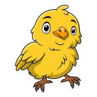 Cute chick cartoon on white background vector