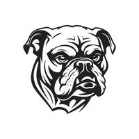 Bulldog Head Vector Images