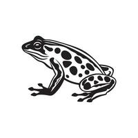 Frog Image Vector, Frog isolated on white vector