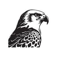 Falcon Image Vector, Illustation Of a Falcon vector