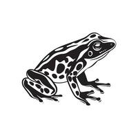 Frog Image Vector, Frog isolated on white vector