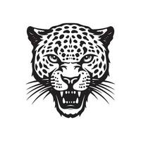 Leopard Head Vector Images