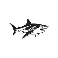 Shark Vector Images