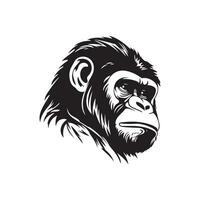 Gorilla Vector Images, Illustration Of a Gorilla