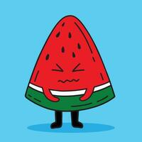 Watermelon expression vector illustration