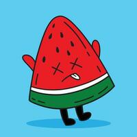 Watermelon expression vector illustration