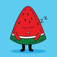 Watermelon expression vector illustration