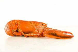 a lobster is sitting on a white surface photo