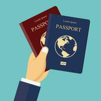 Red and blue passports in hand. Concept for travel, holiday, vacation. Flat vector illustration.