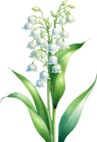 AI generated Watercolor paintings of Lily of the Valley flowers. Ai-Generated. png