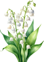 AI generated Watercolor paintings of Lily of the Valley flowers. Ai-Generated. png