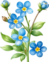 AI generated Watercolor paintings of Wood forget-me-not flowers. Ai-Generated. png