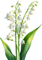 AI generated Watercolor paintings of Lily of the Valley flowers. Ai-Generated. png