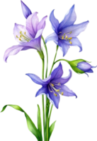 ai gerado aguarela quadros do harebell flores gerado por ai. png