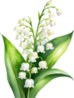 AI generated Watercolor paintings of Lily of the Valley flowers. Ai-Generated. png