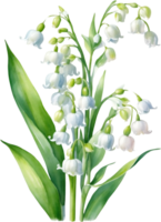 AI generated Watercolor paintings of Lily of the Valley flowers. Ai-Generated. png