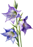 AI generated Watercolor paintings of Harebell flowers. Ai-Generated. png