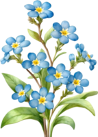 AI generated Watercolor paintings of Wood forget-me-not flowers. Ai-Generated. png