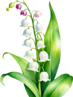 AI generated Watercolor paintings of Lily of the Valley flowers. Ai-Generated. png