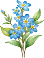 AI generated Watercolor paintings of Wood forget-me-not flowers. Ai-Generated. png