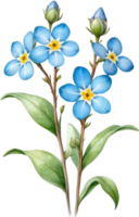 AI generated Watercolor paintings of Wood forget-me-not flowers. Ai-Generated. png